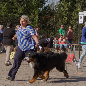 IMG_1826-52.jpg