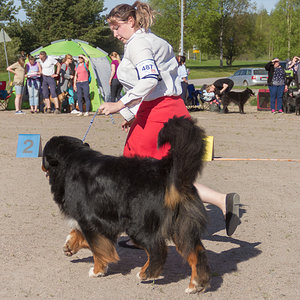 IMG_1839-55.jpg
