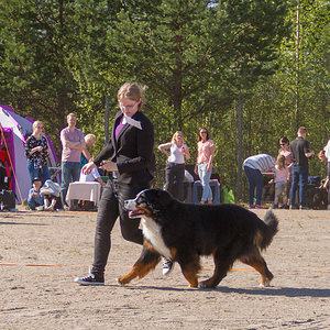 IMG_1896-66.jpg