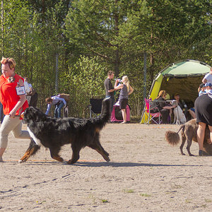 IMG_1904-68.jpg