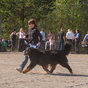 IMG_1906-69.jpg