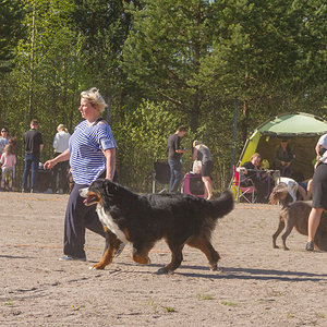 IMG_1943-78.jpg