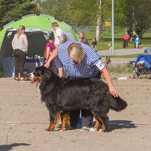IMG_1980-89.jpg