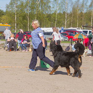 IMG_2002-95.jpg