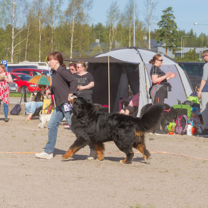 IMG_2015-97.jpg