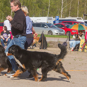 IMG_2094-117.jpg