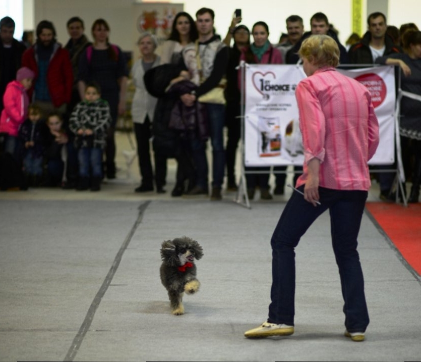 DSC_6391