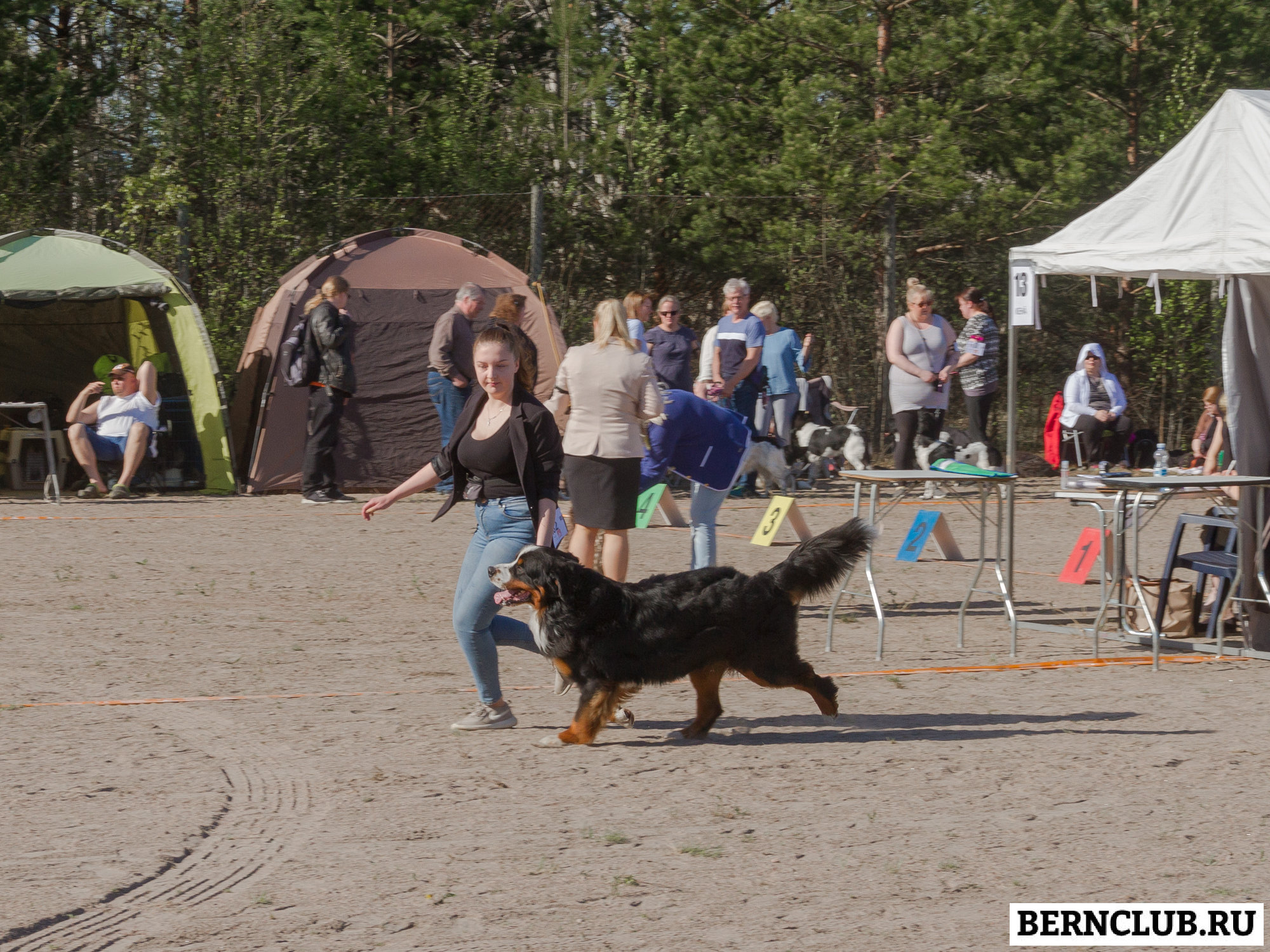 IMG_1667-2.jpg