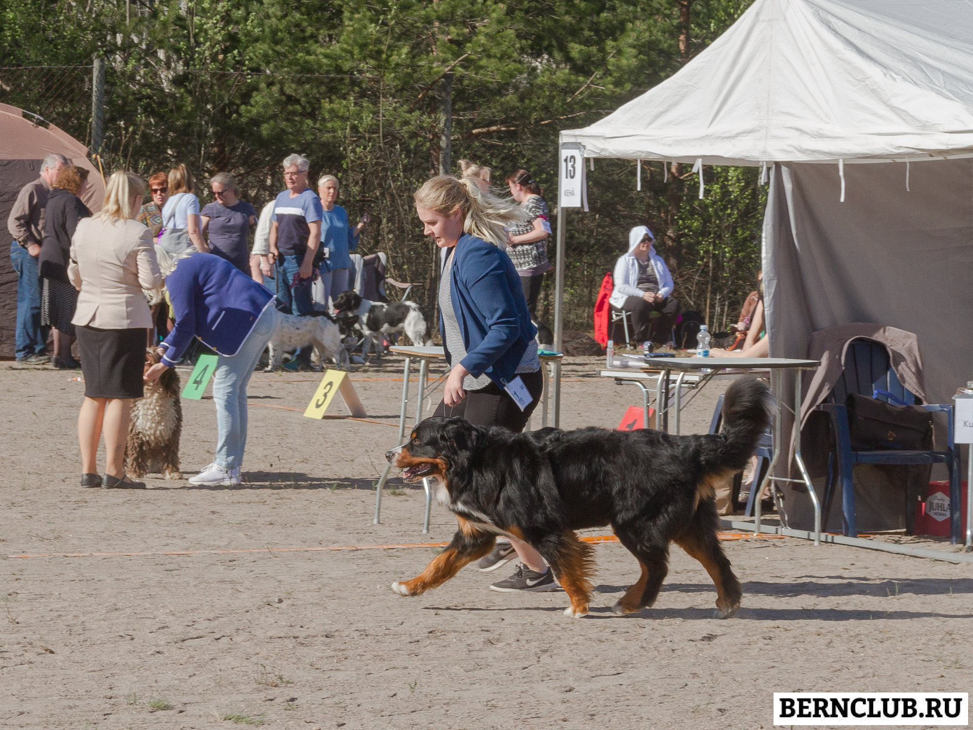 IMG_1673-5.jpg