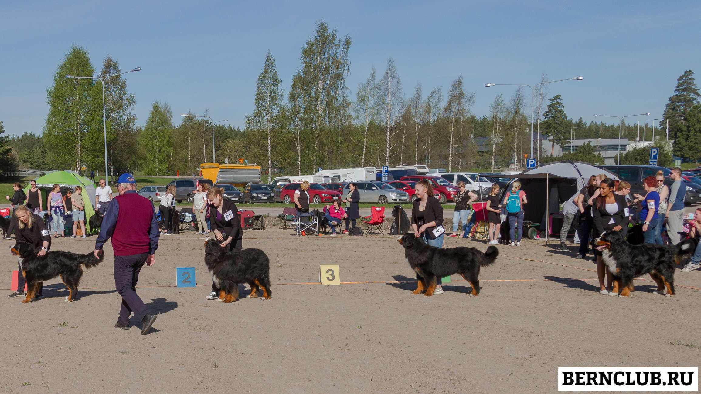 IMG_1701-13.jpg