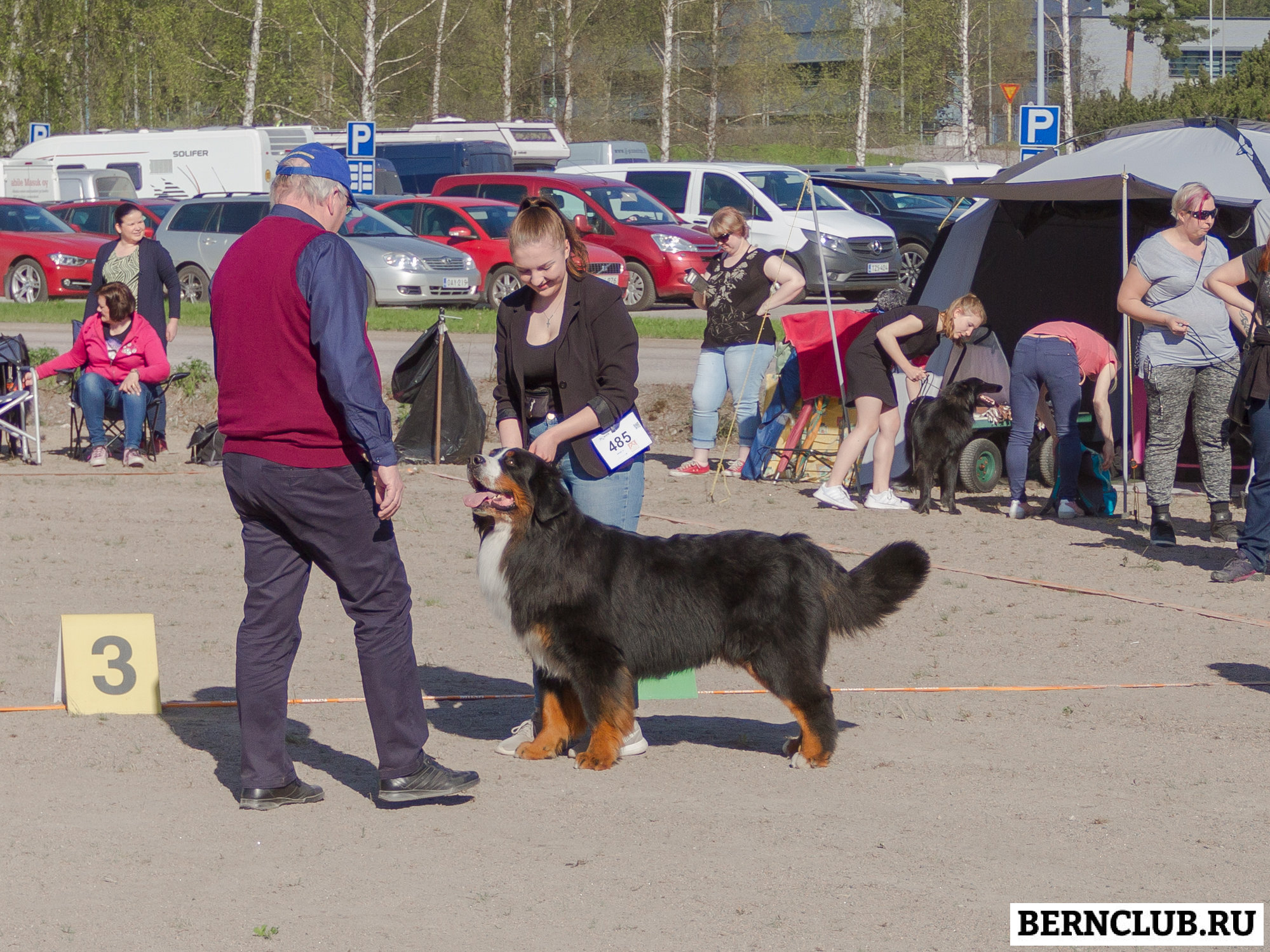IMG_1709-15.jpg