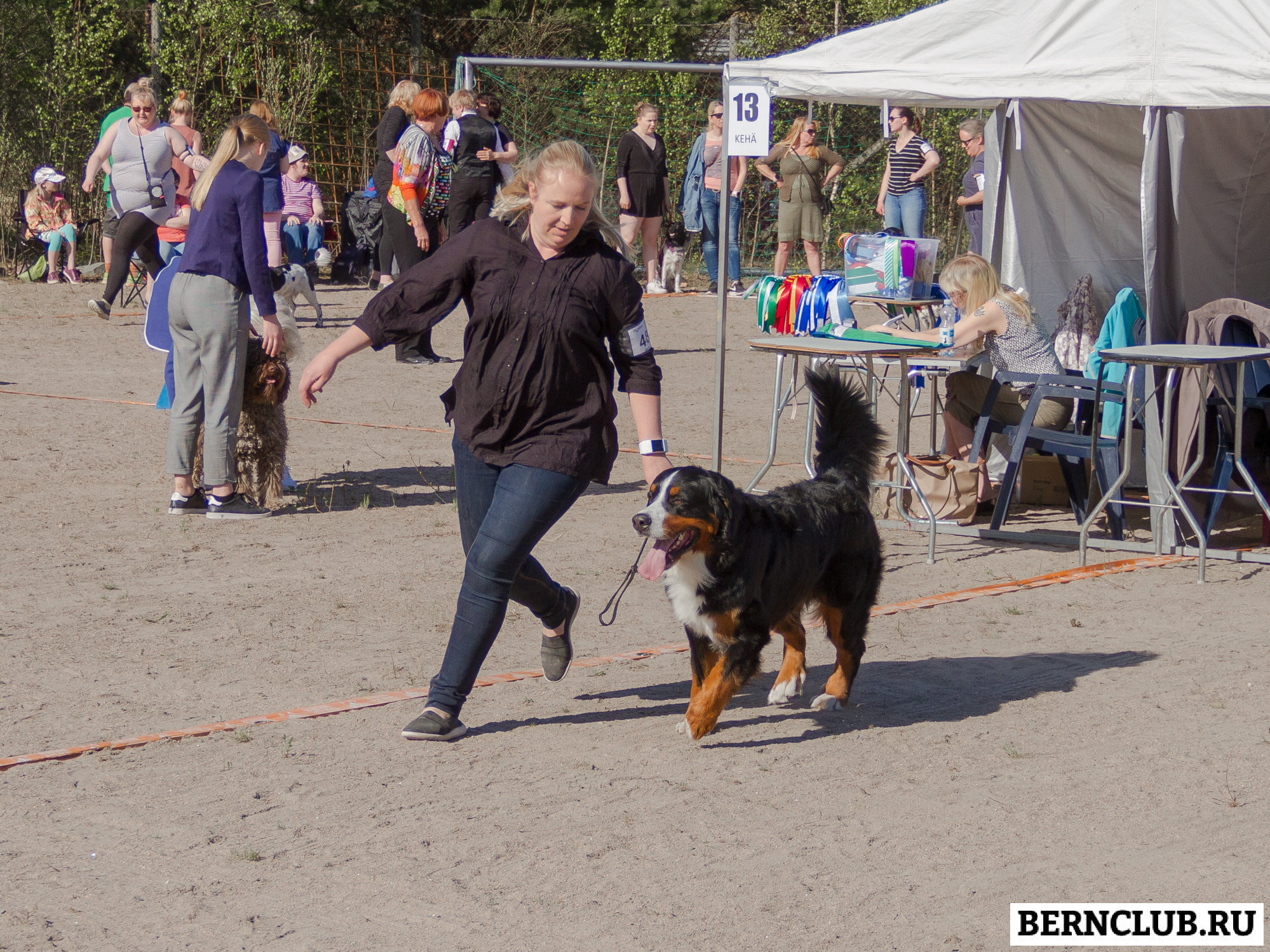 IMG_1715-18.jpg
