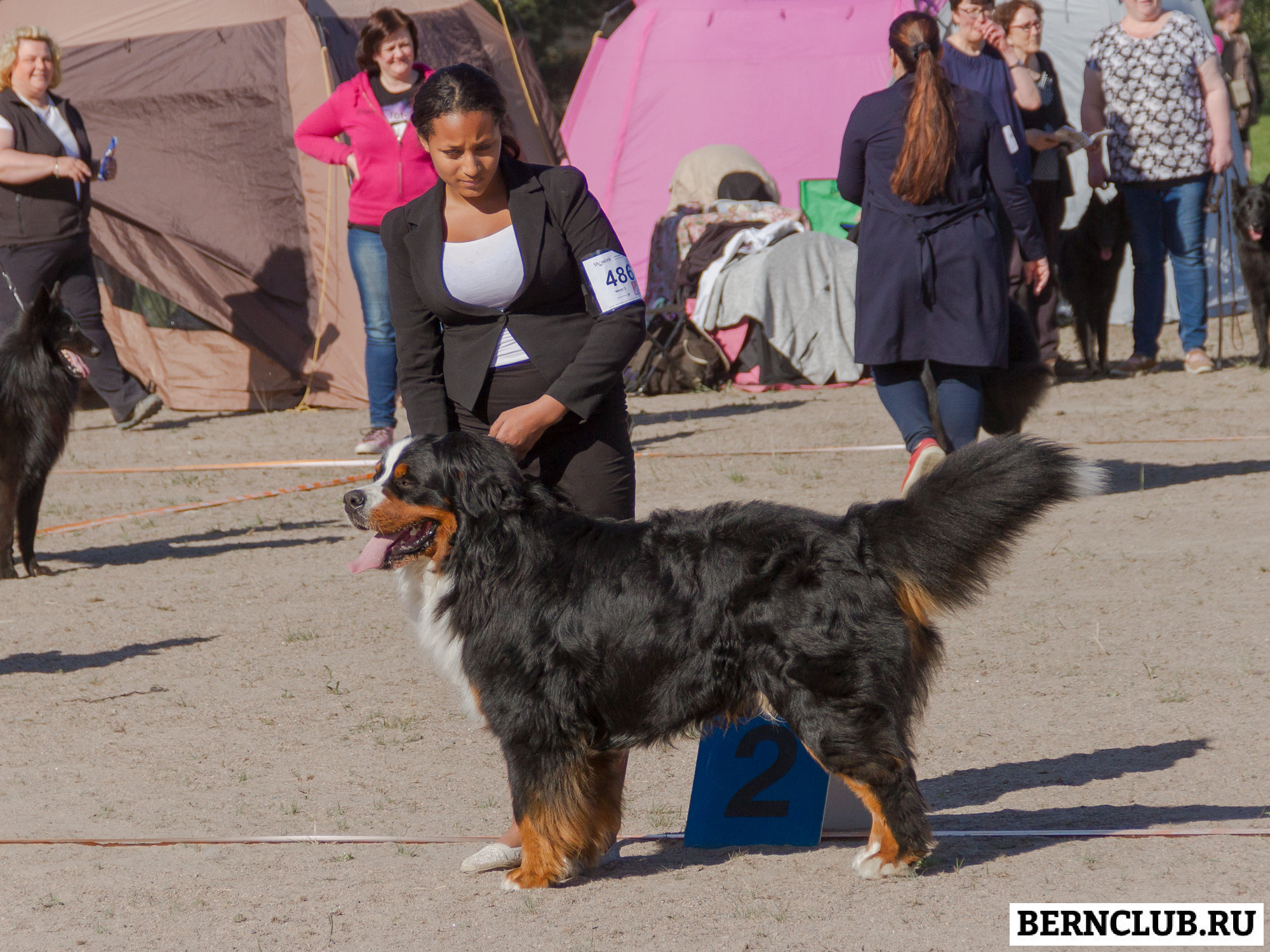 IMG_1763-32.jpg