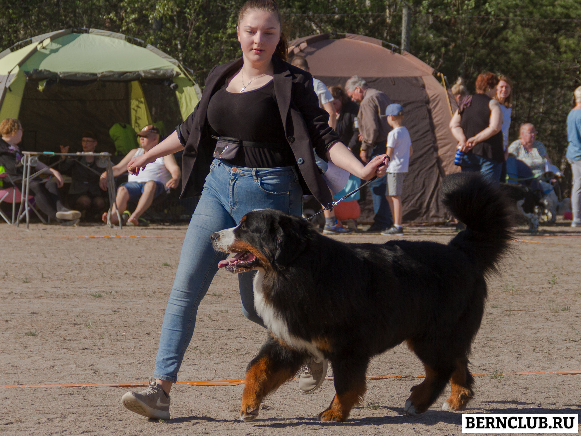 IMG_1765-33.jpg