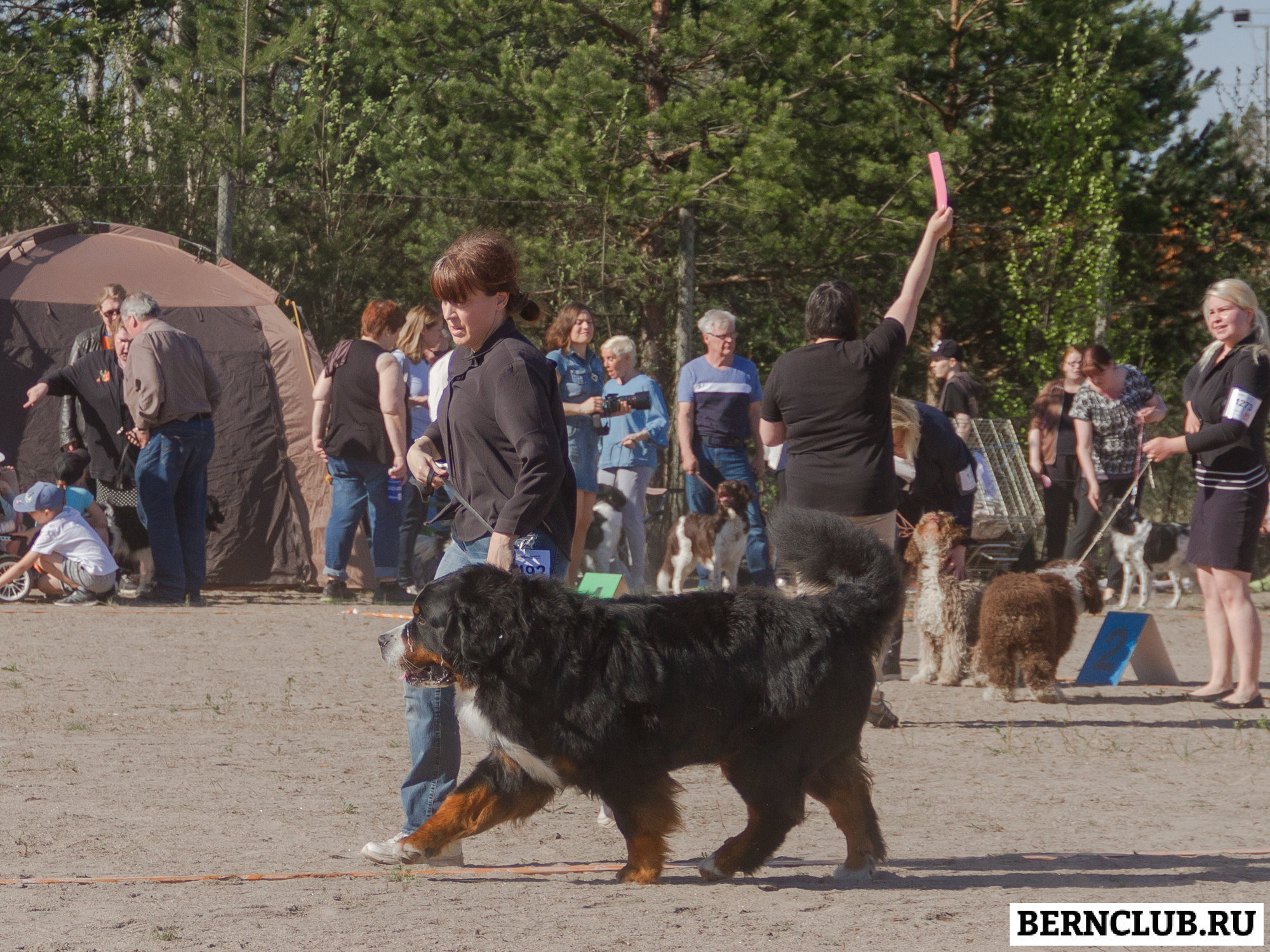 IMG_1831-53.jpg
