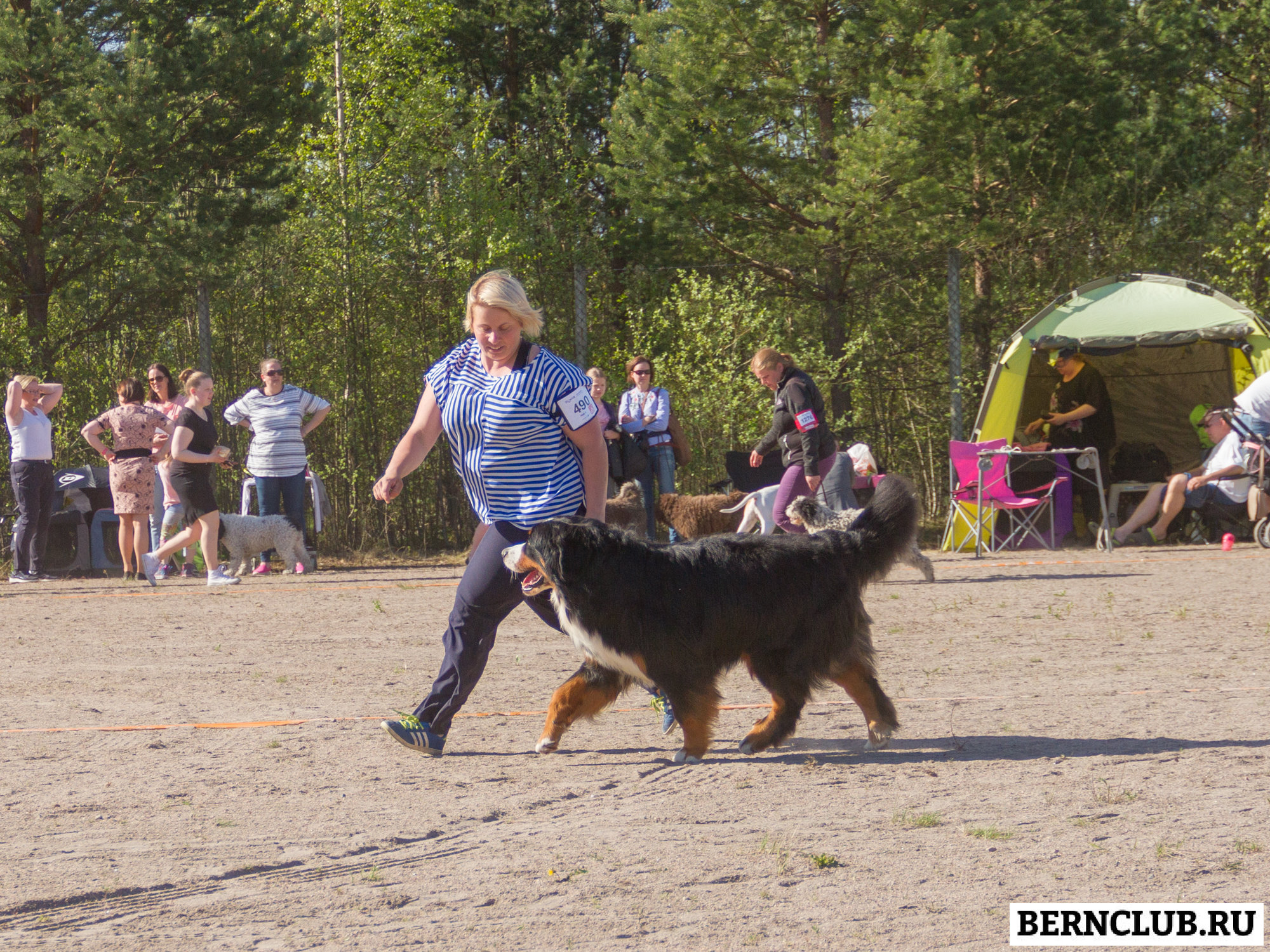 IMG_1881-63.jpg