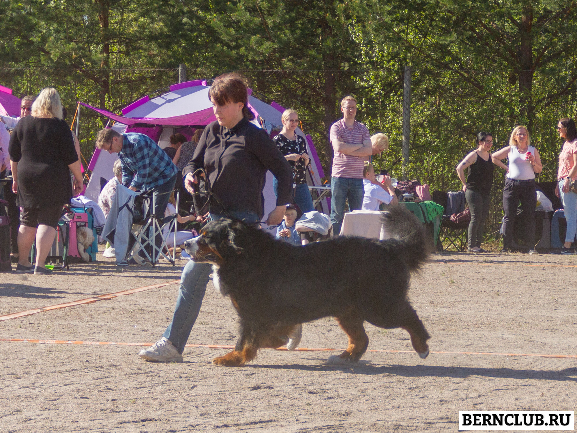 IMG_1910-70.jpg