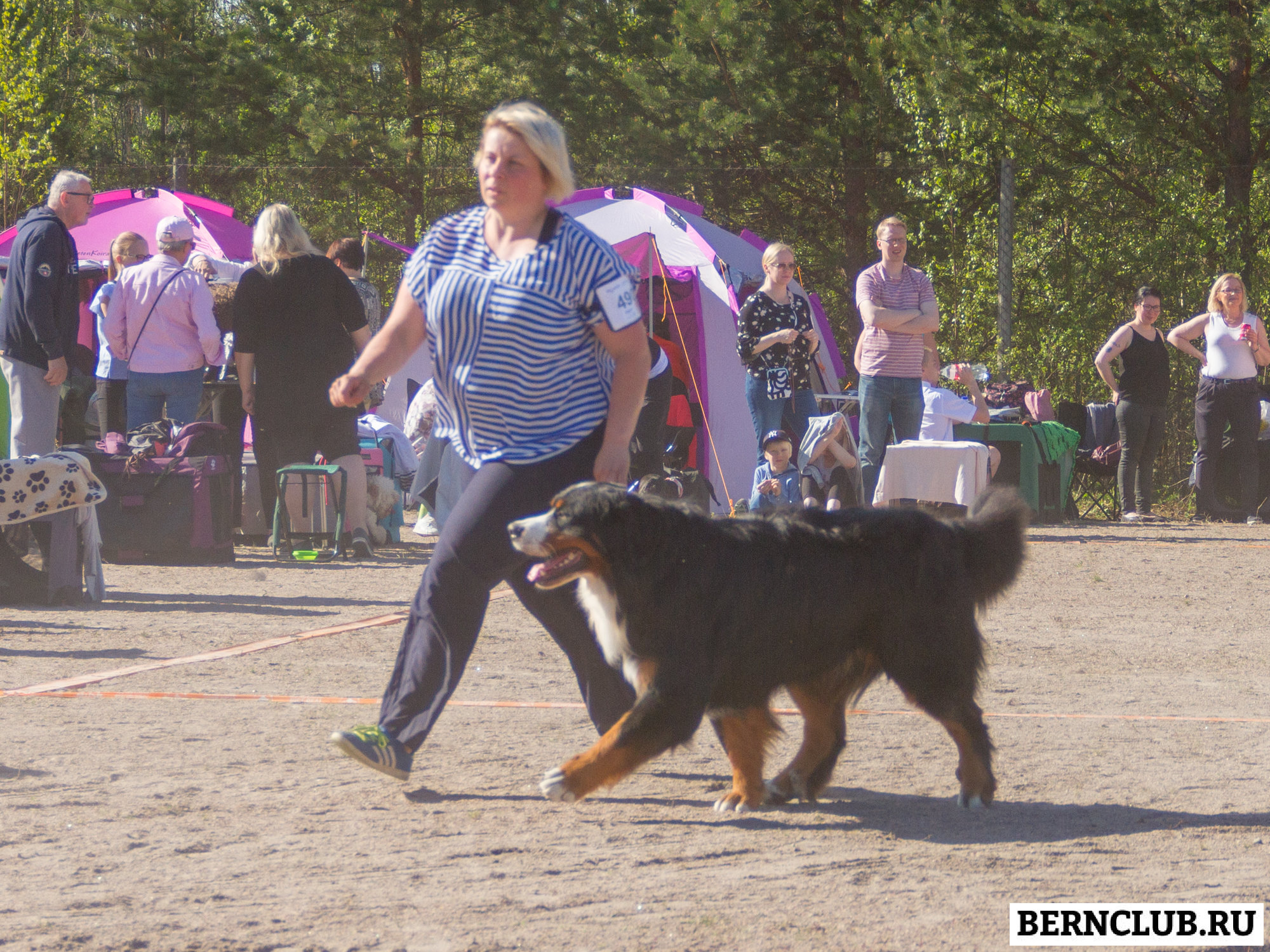 IMG_1919-71.jpg