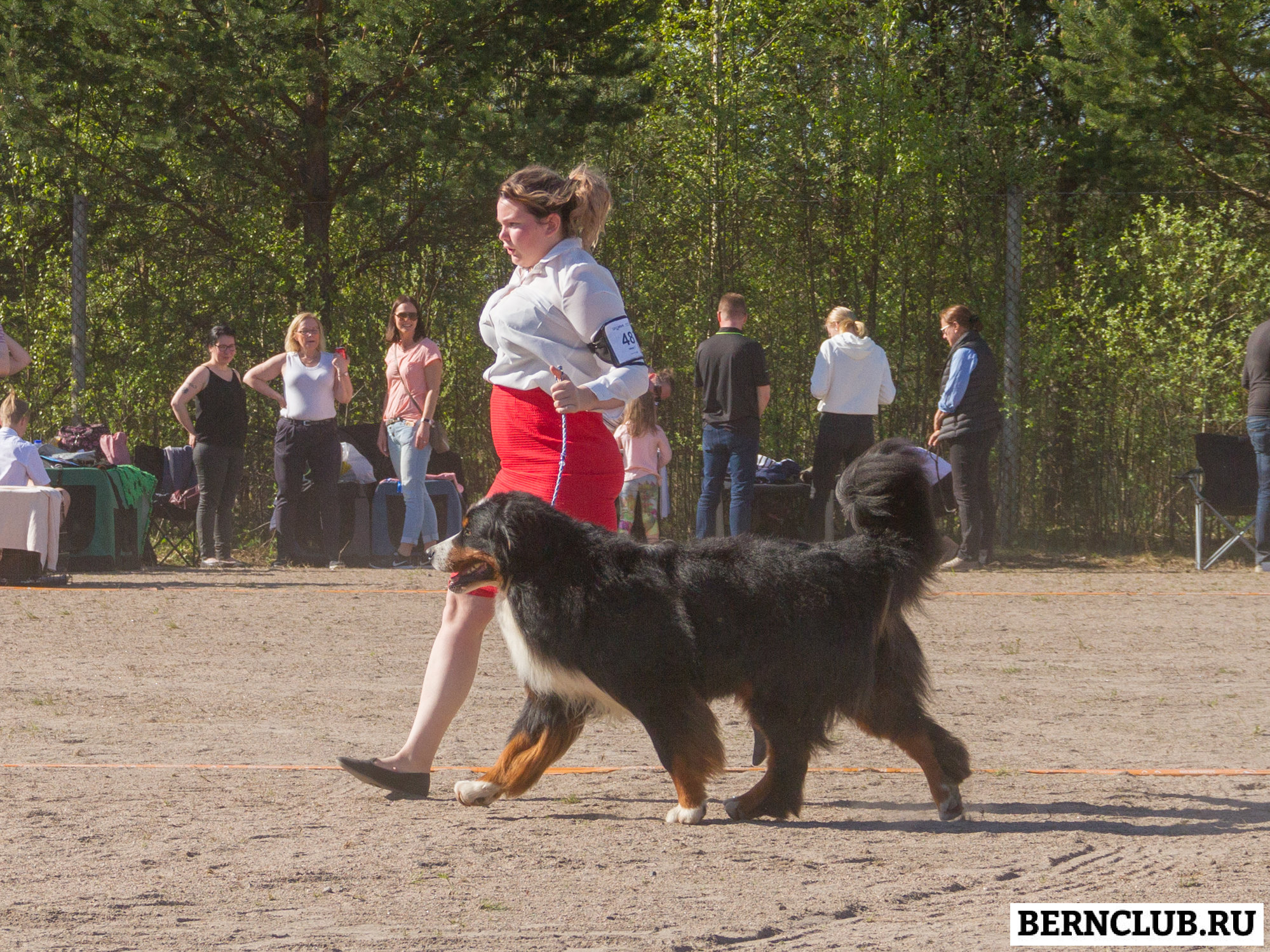 IMG_1938-77.jpg