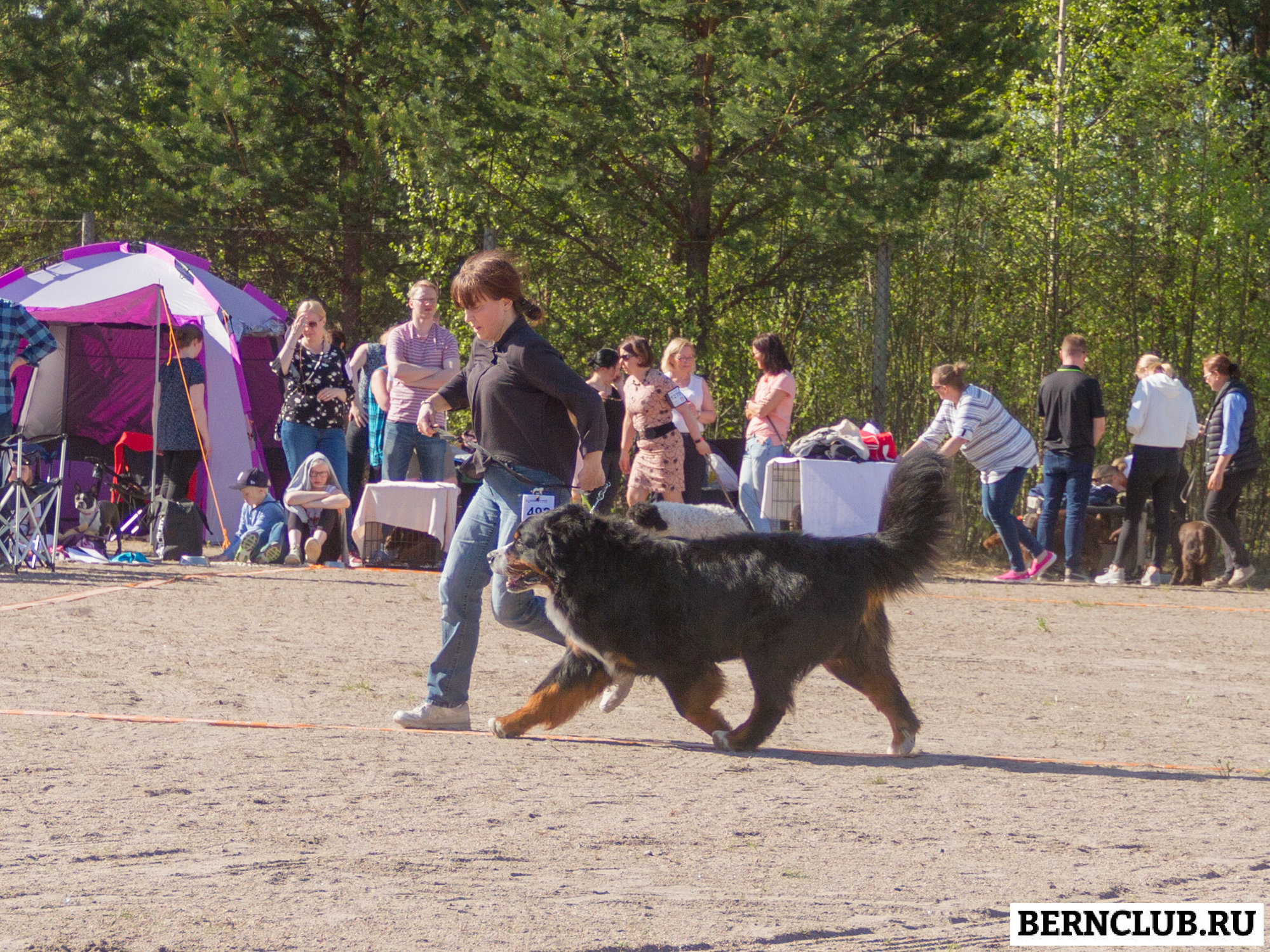 IMG_1951-80.jpg
