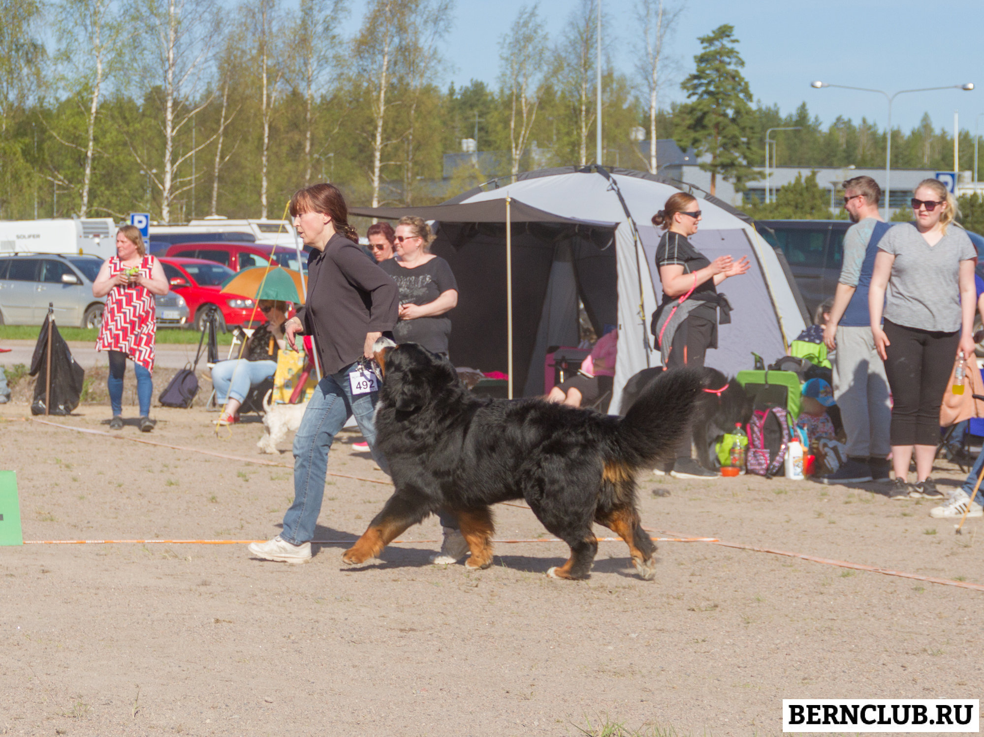 IMG_2015-97.jpg