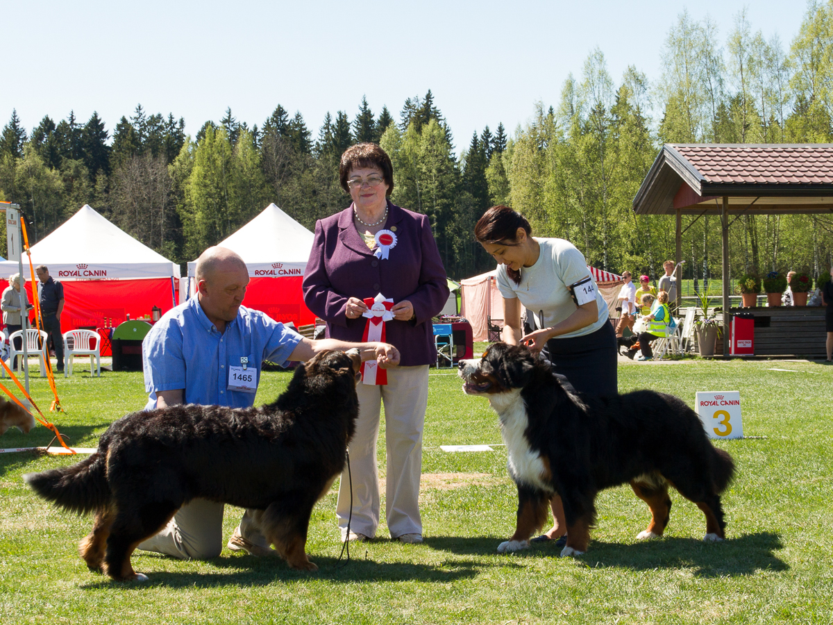 IMG_2903