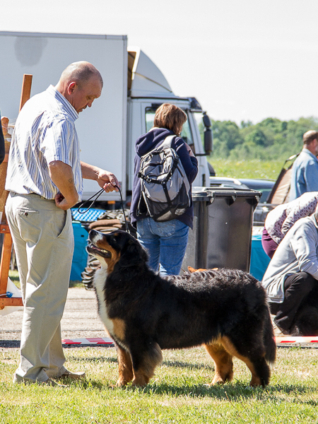IMG_3453