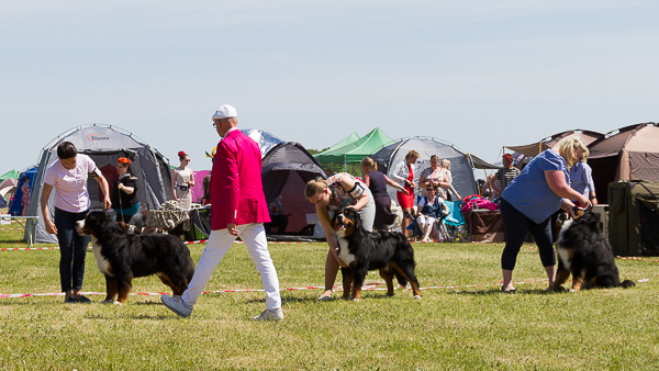 IMG_3818
