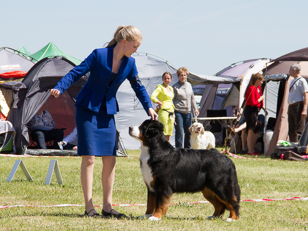 IMG_4328