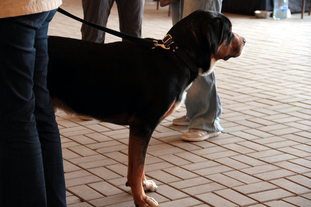 IMG_9198