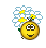 :bk_l_daisy: